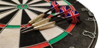 Roleo Steeldart Scheibe Dartboard inkl. 2 Satz Dartpfeile...