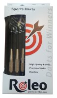 Steeldart Dart Pfeile R-3 von Roleo Darts - 19g inkl. Dartbox