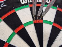 Steeldart Set - Dartboard Winmau Blade 6 + Roleo Dartständer + Roleo Surround Rot + 2 Satz Pfeile