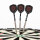 Steeldart Steel Dart Pfeile Keltik Carnac 24 g - 80% Tungsten