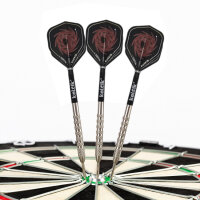 Steeldart Steel Dart Pfeile Keltik Carnac in 24g + 26g - 80% Tungsten