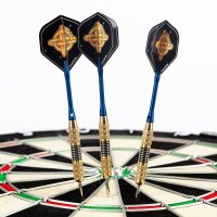 Steeldart Steel Dart Pfeile Keltik Dragon 21 g