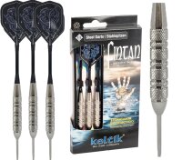 Steeldart Steel Dart Pfeile Keltik Fintan 25 g