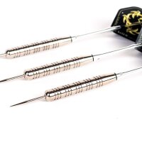 Steeldart Steel Dart Pfeile Keltik Karadoc in 20g + 23g