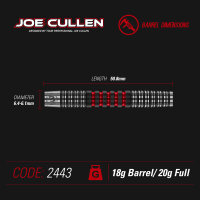 Softdart Dartpfeile Winmau Joe Cullen Ignition 20 g