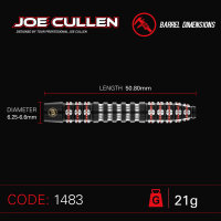 Steeldart Dartpfeile Winmau Joe Cullen Ignition