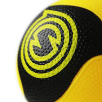 Spikeball Pro Bälle 2er-Pack - Optimale Ballkontrolle
