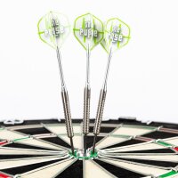 Steeldart Steel Dart Pfeile Keltik The Pulse Caliber 80% Tungsten in 21g + 23g