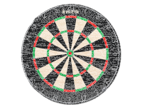 Keltik Ravencore Profi Bristle Dartboard Dartscheibe aus...