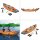 Bestway Hydro Force Kayak Kajak Kanu LiteRrapid X2