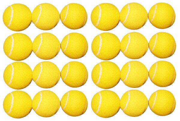 Charlsten Tennisbälle 24 Stück im Set