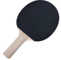 Charlsten Tischtennisschläger Beginner mit Noppenbelag